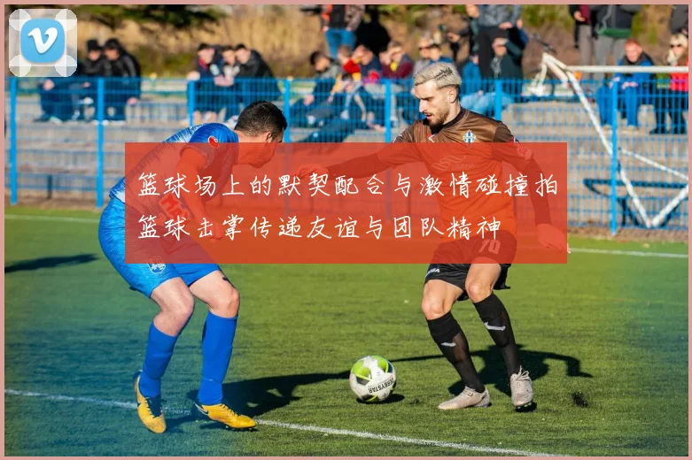 篮球场上的默契配合与激情碰撞拍篮球击掌传递友谊与团队精神