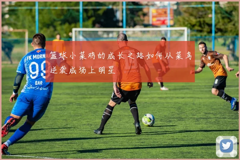 篮球小菜鸡的成长之路如何从菜鸟逆袭成场上明星