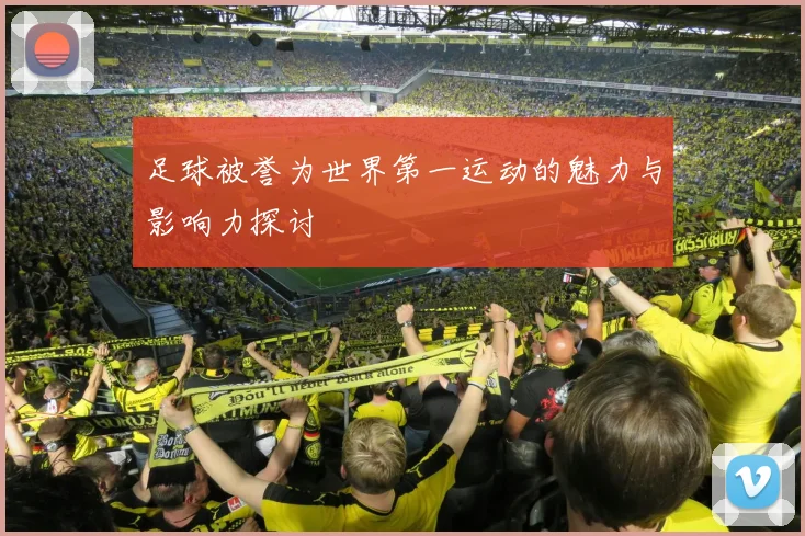 足球被誉为世界第一运动的魅力与影响力探讨