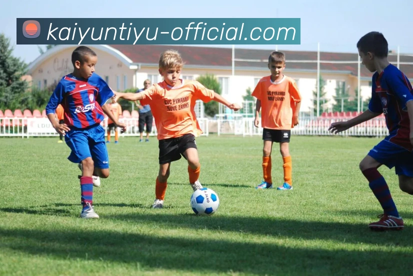 开云赛事APP 封面图